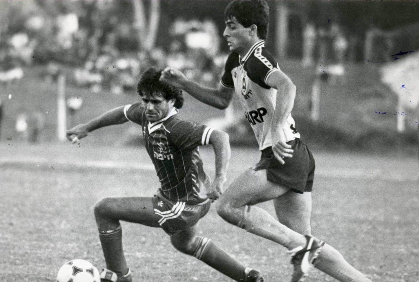 Hapoel Haifa Shirt 1984-1985 Home - Retro Jerseys - Retro Jerseys